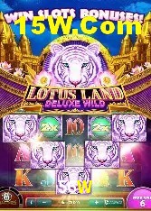 Casino Ao Vivo 56W